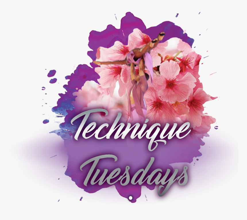 Moth Orchid, HD Png Download