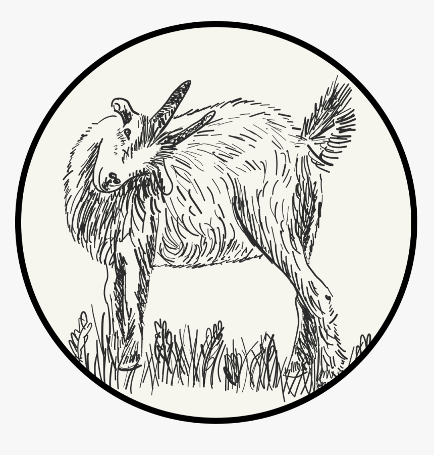 Transparent Clipart Busfahrt - Line Art, HD Png Download