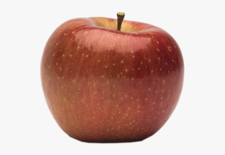 Apple Holler Evercrisp Apple - Mcintosh, HD Png Download