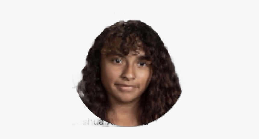 Lace Wig, HD Png Download