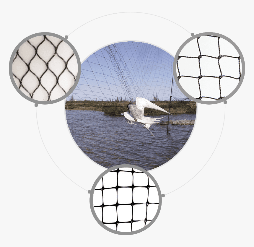 Fishing Net, HD Png Download