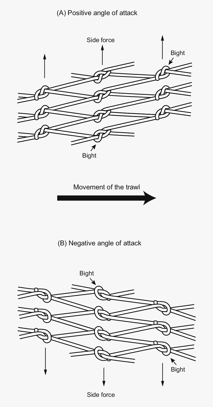 Line Art, HD Png Download