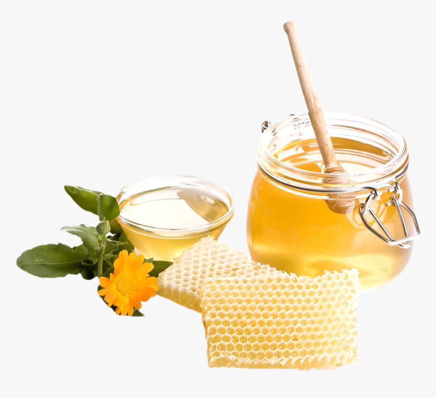Transparent Dripping Honey Png - Uses Of Flowers Honey, Png Download