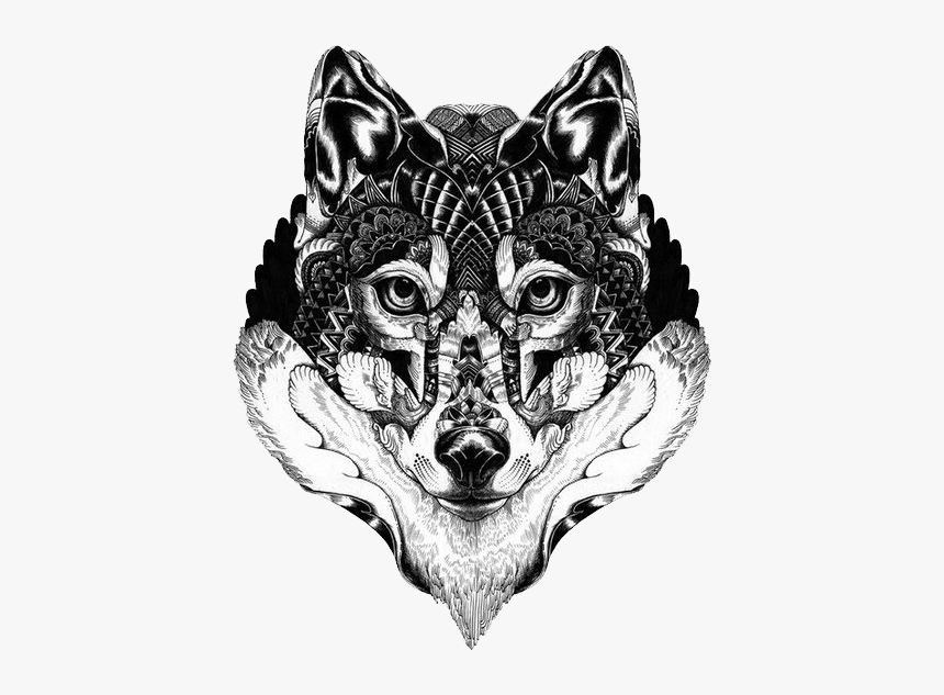 Gray Wolf Art Drawing Illustration Graphic Art Black And White Hd Png Download Transparent Png Image Pngitem