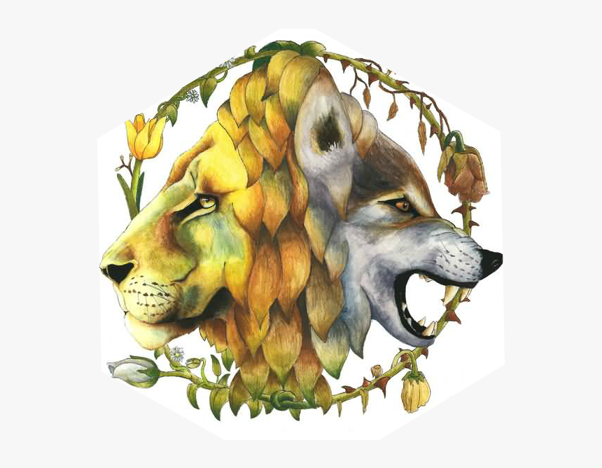 Amazing Collaboration Of Lion And Wolf Tattoo - Wolf And Lion Art, HD Png Download