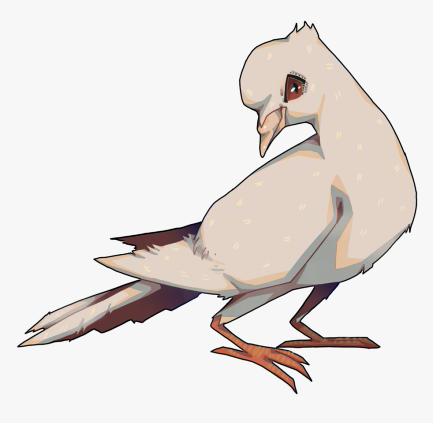 Dove Boy By Slugg-o - European Herring Gull, HD Png Download