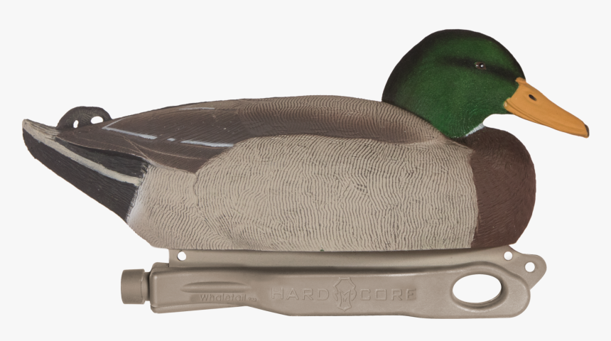 Rugged Standard Mallard Rester Drake Floater W/ Flocked - Mallard, HD Png Download