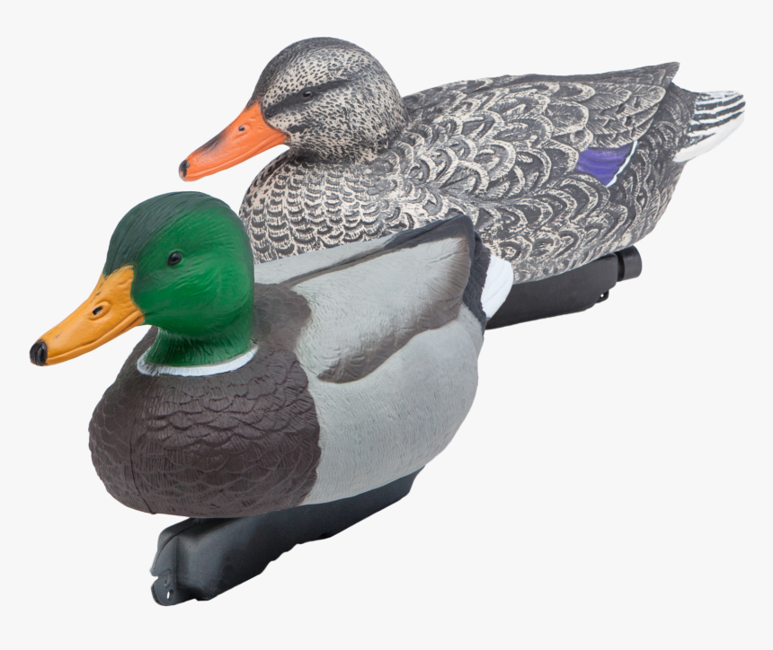 Two Mallard Floating Duck Decoys - Appelant Canard, HD Png Download
