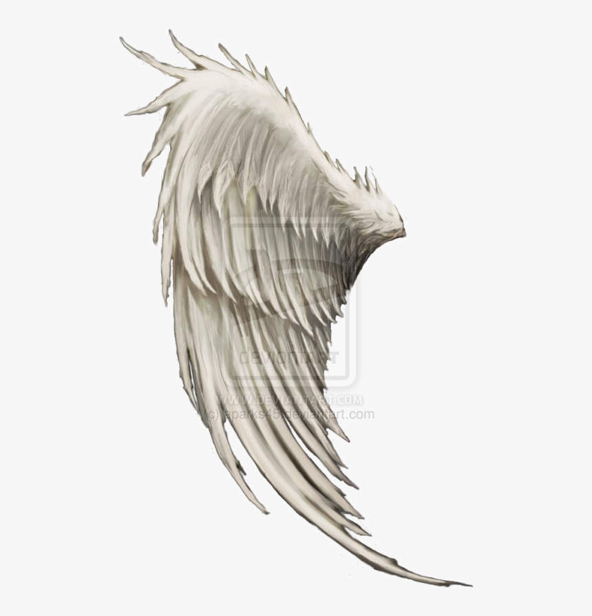 Wing Angel Clip Art - Male Angel Wings Hd Png, Transparent Png