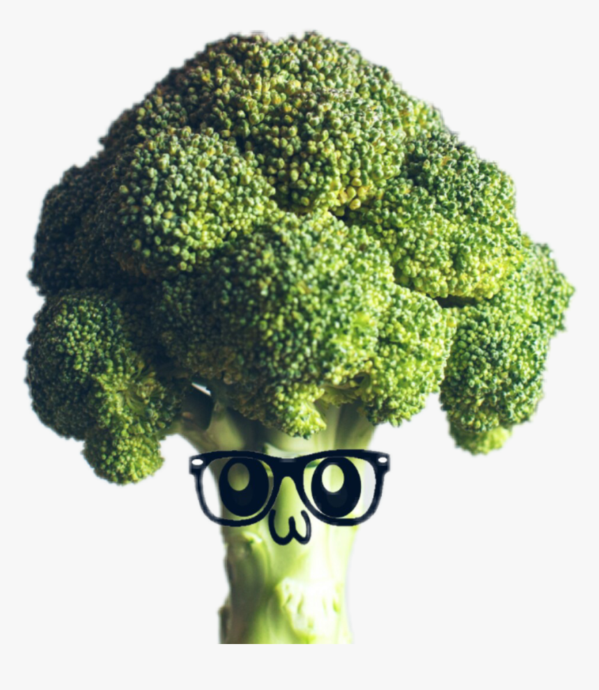 Broccoli Deku, HD Png Download , Transparent Png Image PNGitem