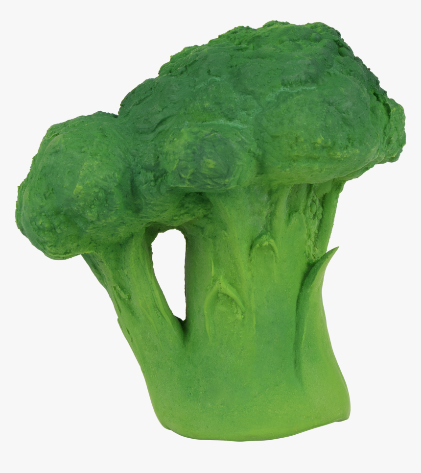 Eat Your Broccoli Teether 
 Class Lazyload Lazyload - Oli And Carol Teething Toy, HD Png Download