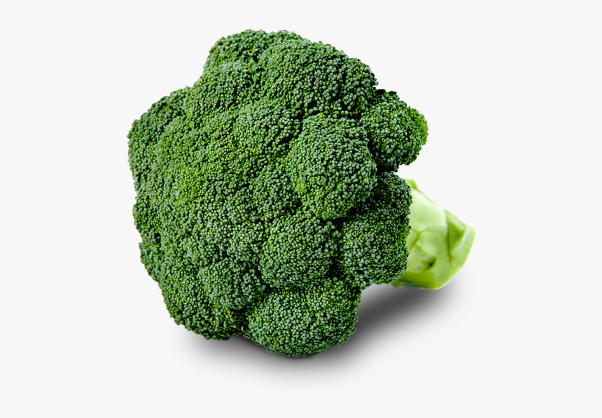 Broccoli, HD Png Download