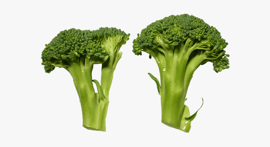 Receta Con Brocoli - Verduras Png, Transparent Png