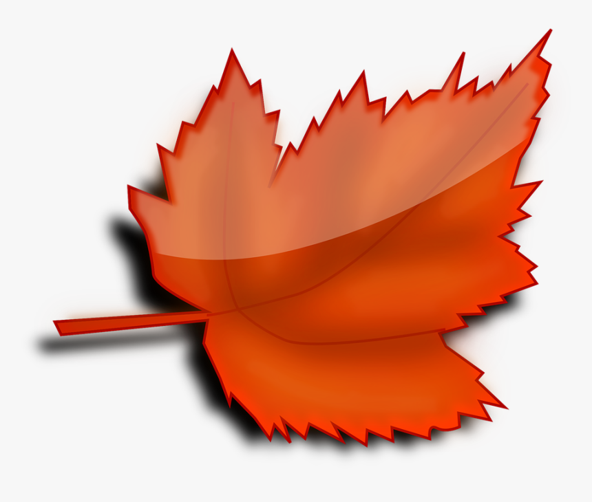 Gratis Billede P Pixabay Ahorn Efter R - Red Leaf Clip Art, HD Png Download