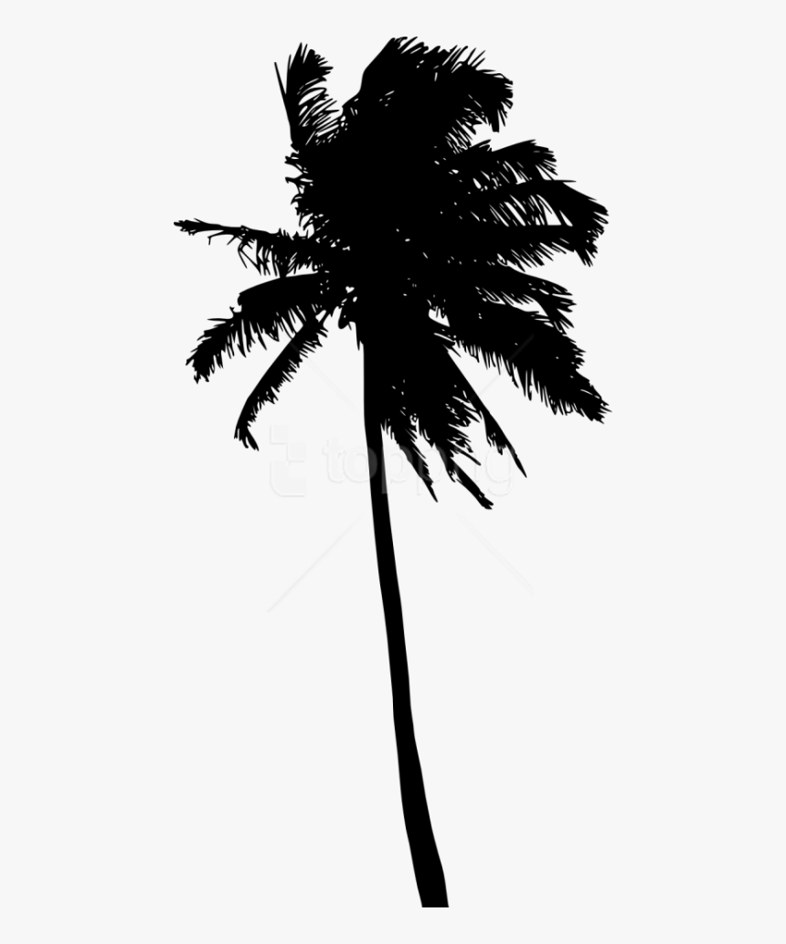 Free Png Palm Tree Silhouette Png - Palm Tree Black Transparent Background Free, Png Download