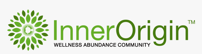 Transparent Origin Logo Png - Do Not Interrupt Sign, Png Download