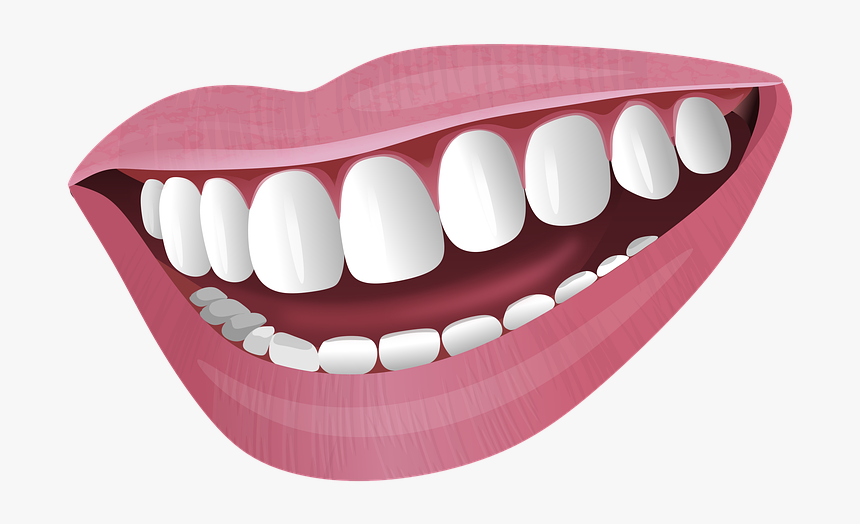 Illustration, Mouth, Smile, Lips, Teeth, Face, Woman - Tongue, HD Png Download