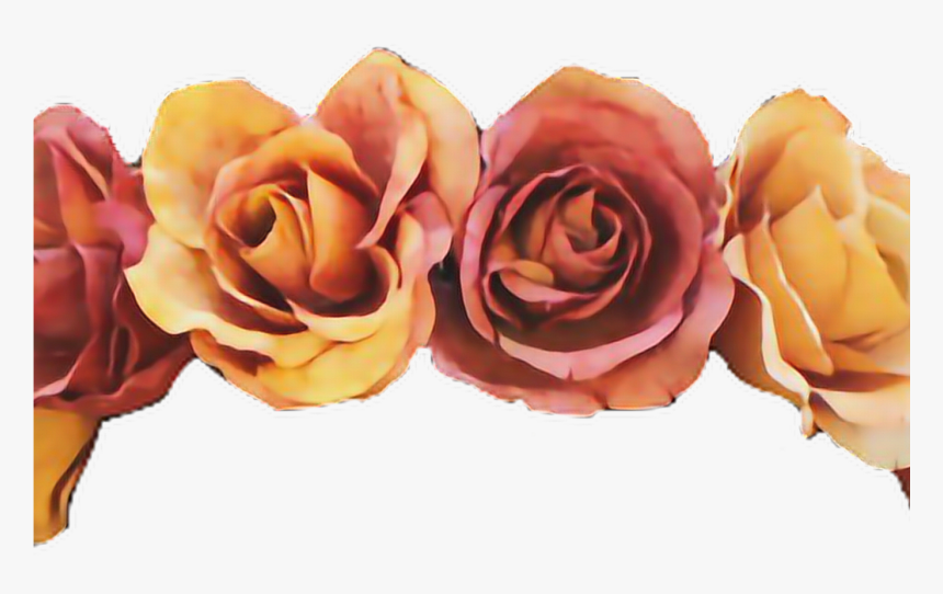 Flowers Flowercrown Crown Tumblr Orange Colorful - Orange Flower Crown Png, Transparent Png