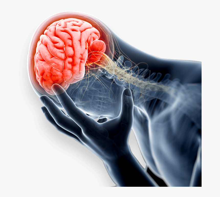 Traumatic Brain Injury Lawyer - Get Over It Anxiety, HD Png Download