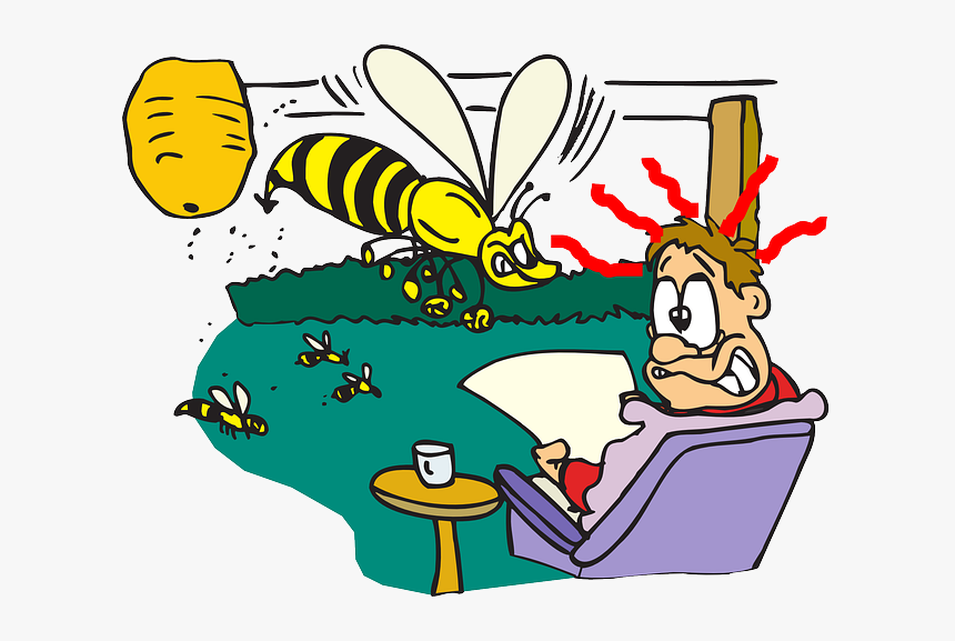 Bees Wasps Or Hornets - Wasps On A Man, HD Png Download