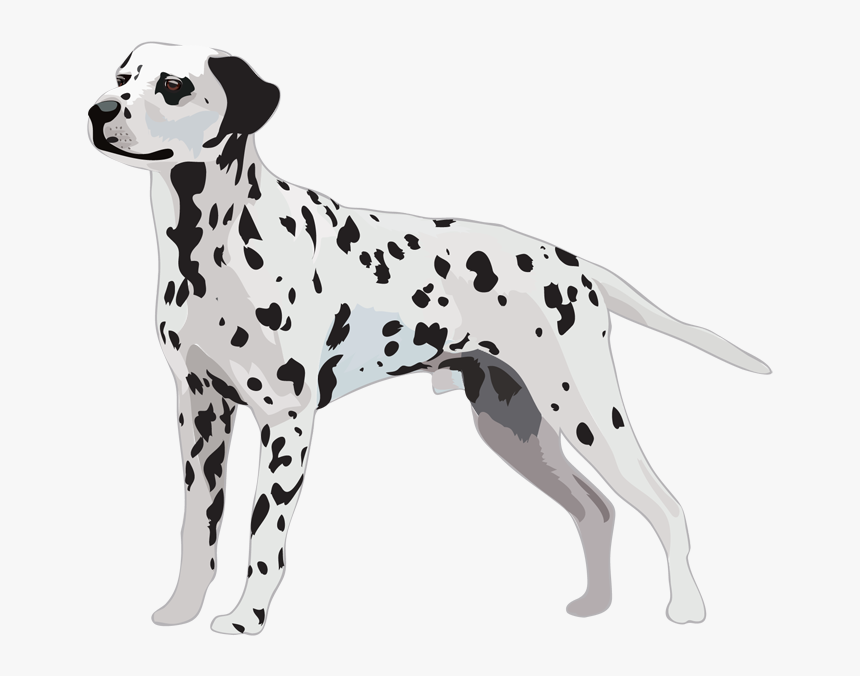 Dalmatian Dog Greeting & Note Cards Puppy Tote Bag - Dalmatian Vector Art, HD Png Download