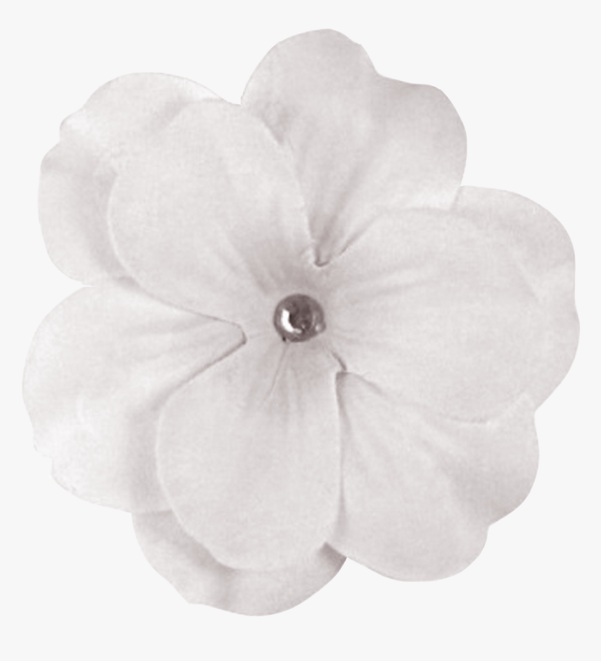 Purple Flower Transparent Background, HD Png Download