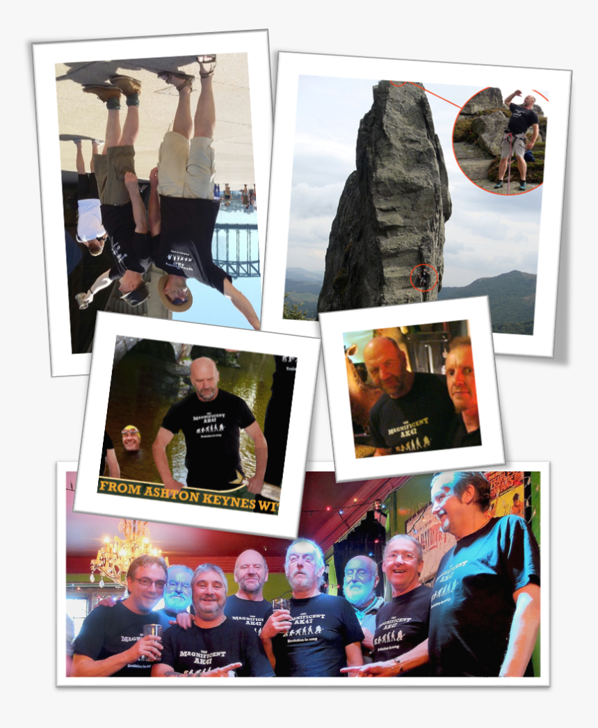 Collage, HD Png Download