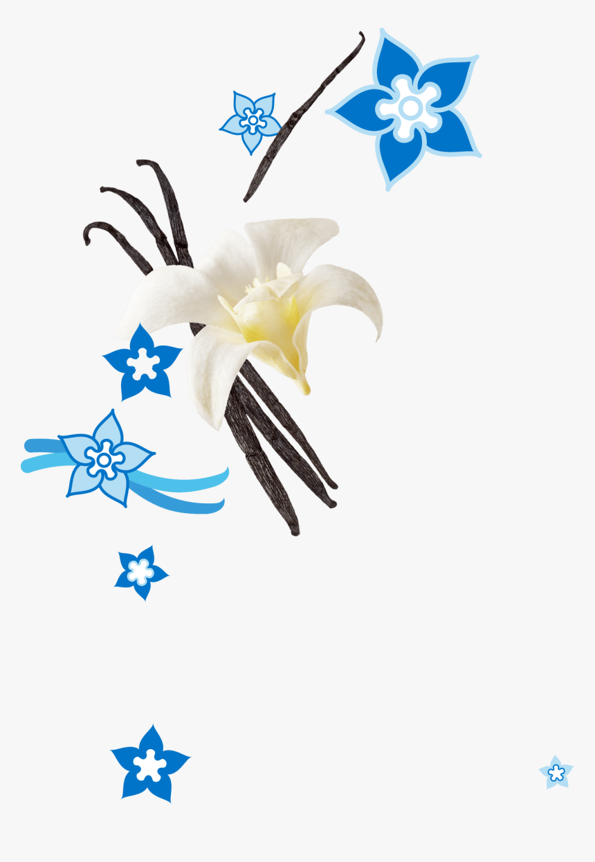 Clip Art, HD Png Download