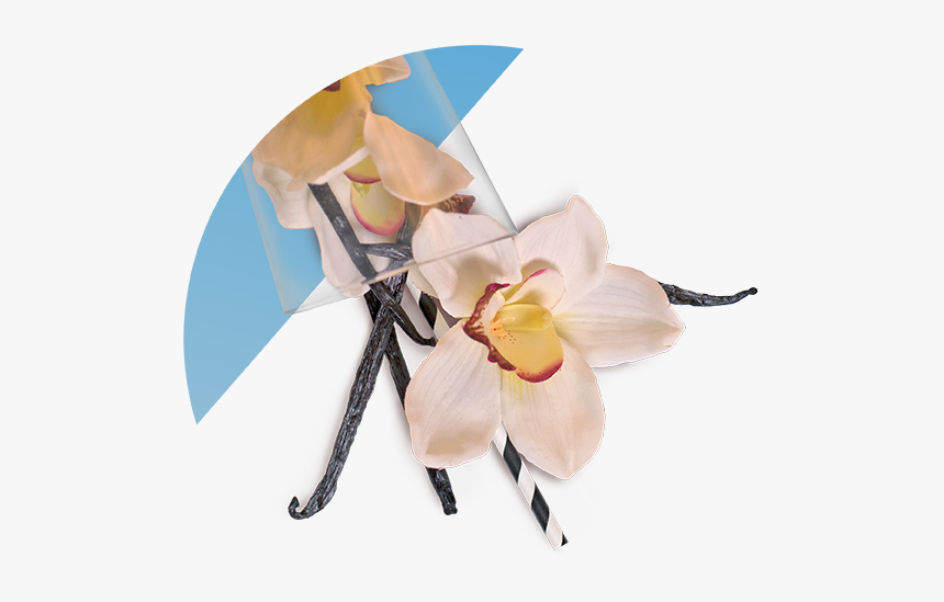 Artificial Flower, HD Png Download