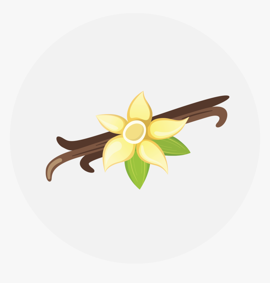 Narcissus, HD Png Download