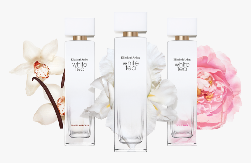 The White Tea Collection Celebrates The Pleasure Of - Elizabeth Arden White Tea Vanilla Orchid, HD Png Download
