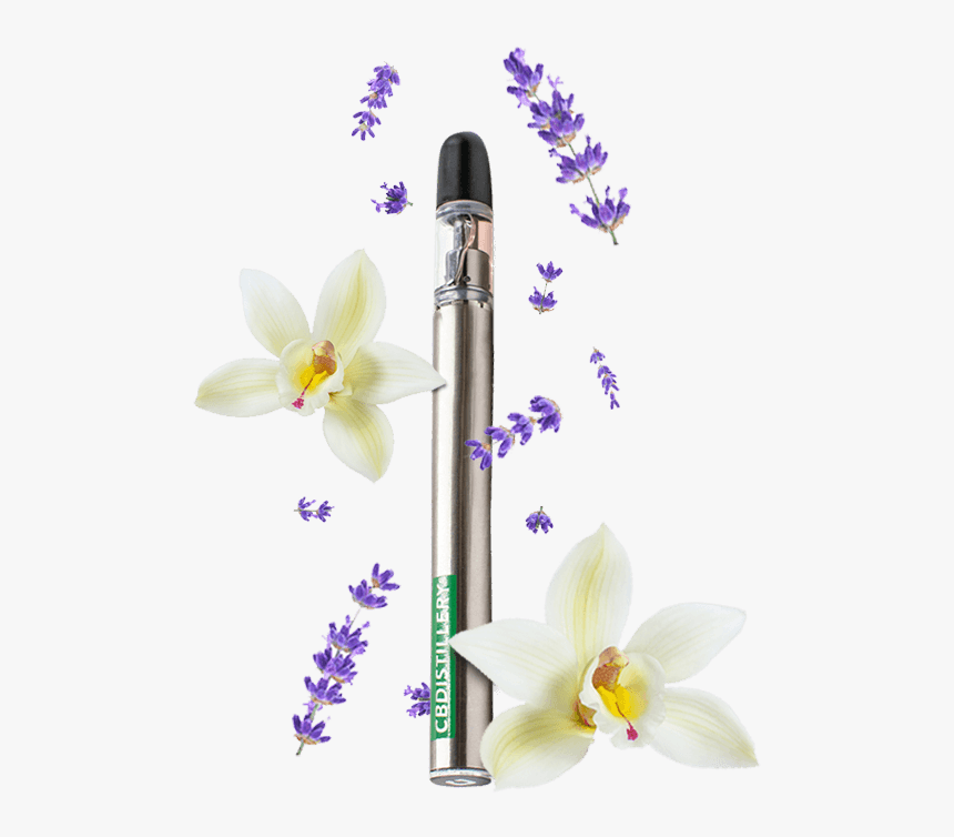 Electronic Cigarette, HD Png Download