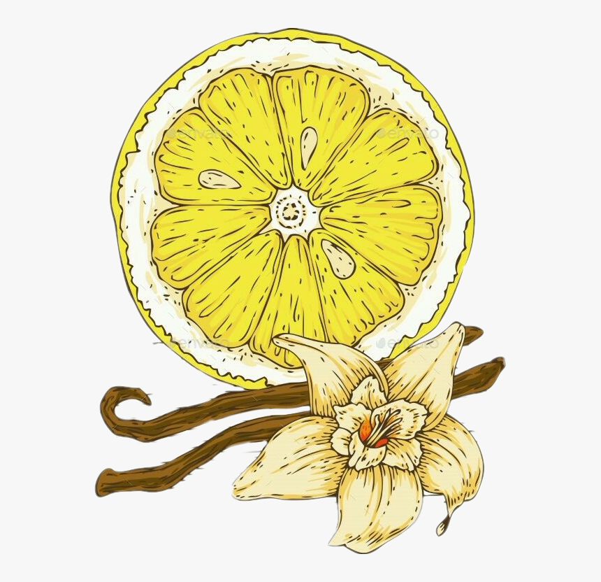 #vanilla #vanillaflower - Lemon, HD Png Download