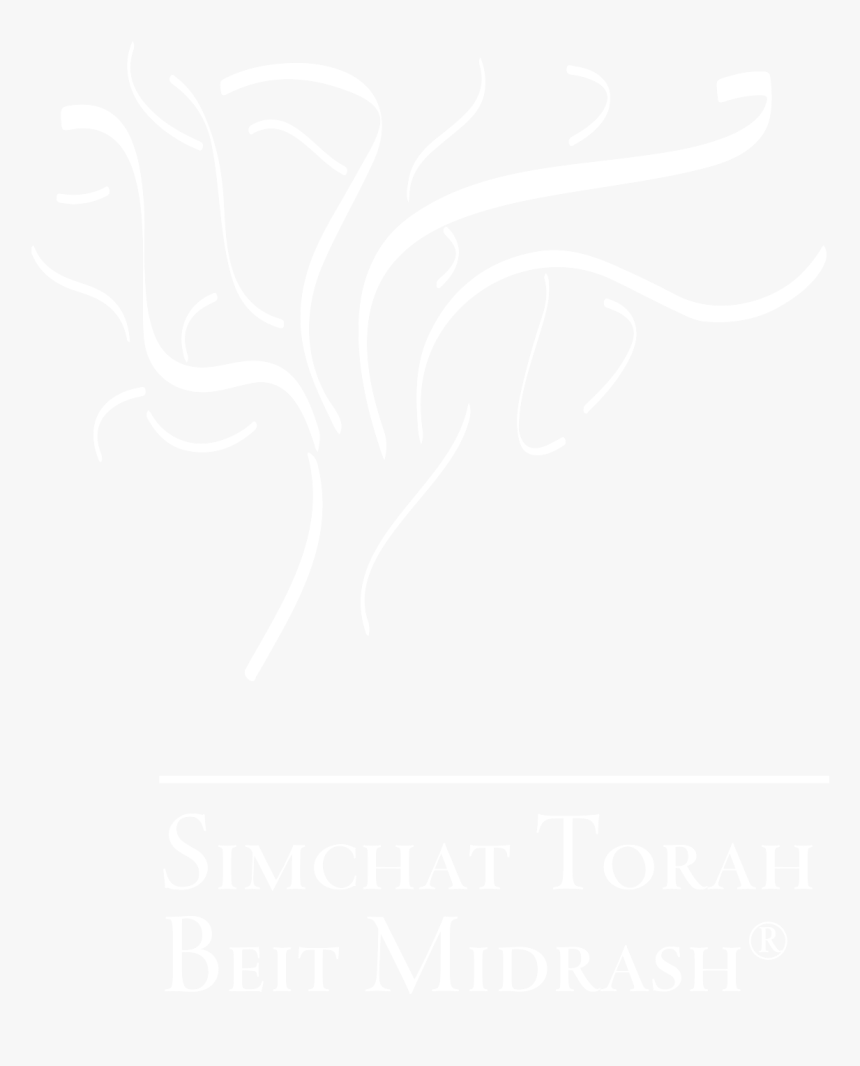 Xperia White Logo Png, Transparent Png