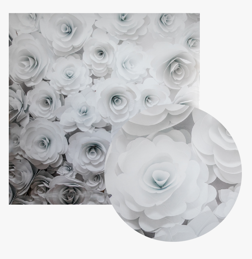 3d White Floral Backdrop, HD Png Download