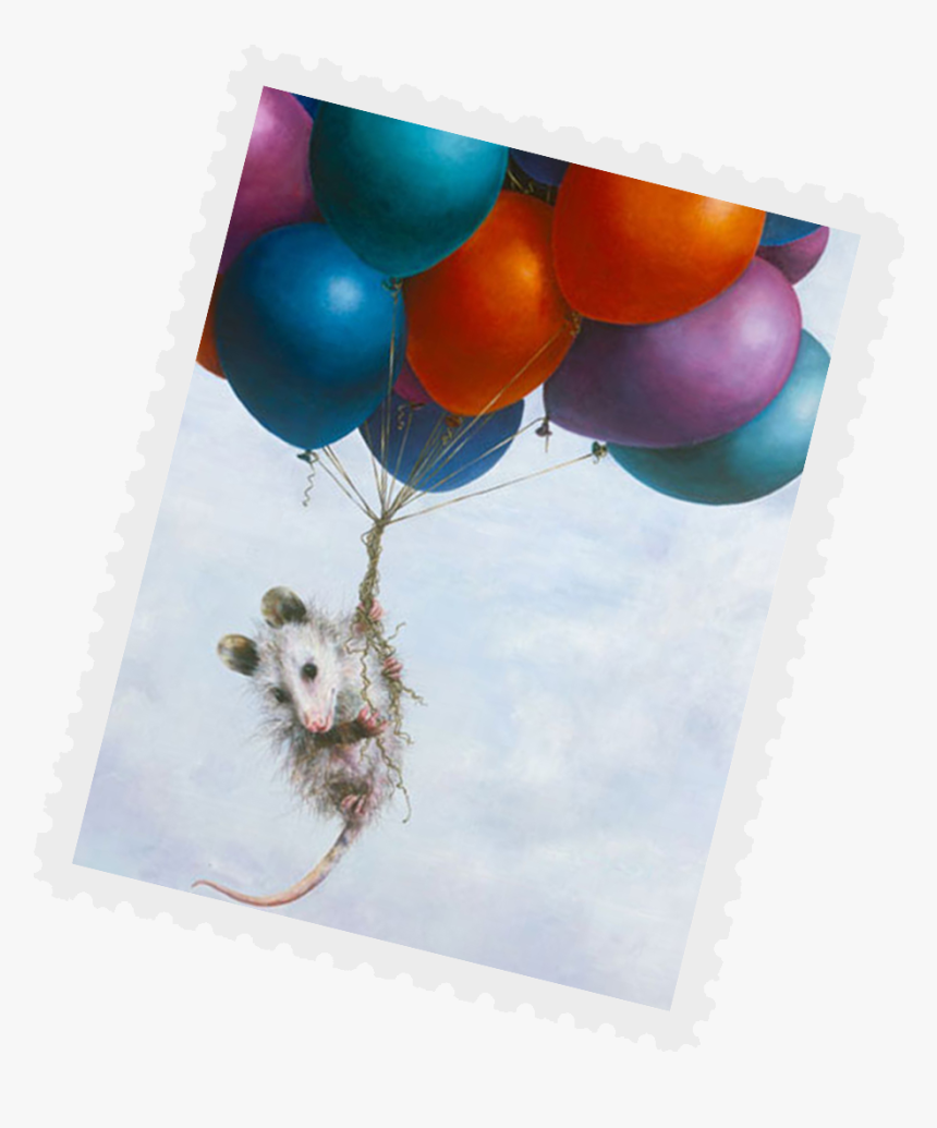 Virginia Opossum - Kangaroo Rat, HD Png Download