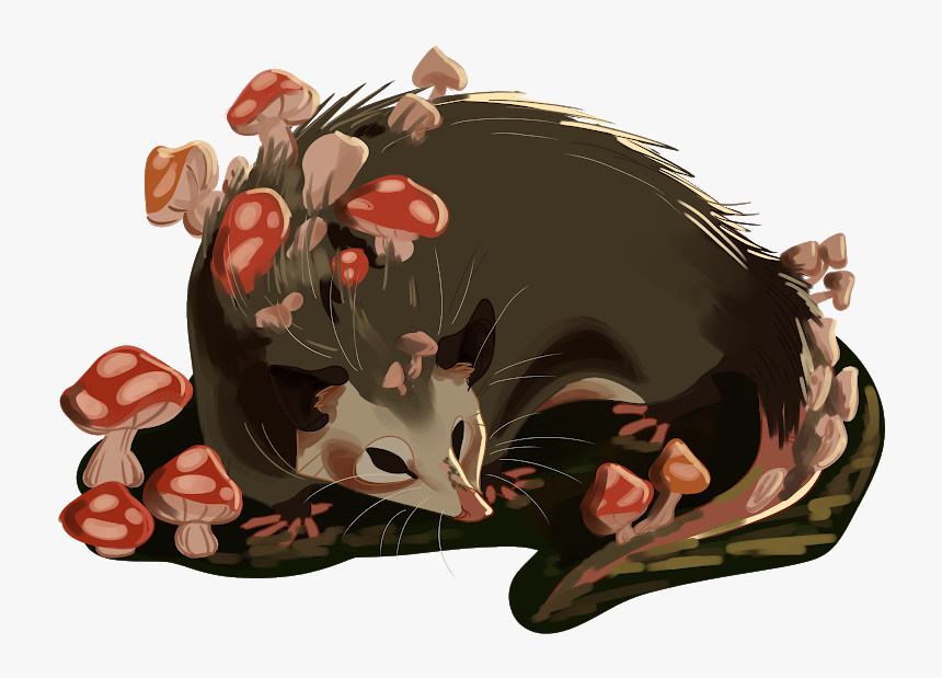 Mushroom Opossum - Illustration - Opossum Illustration, HD Png Download