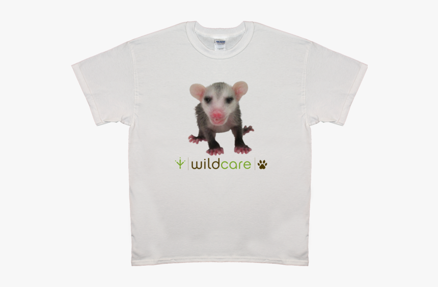 Baby Opossum T-shirt $25 Donation - Rat, HD Png Download