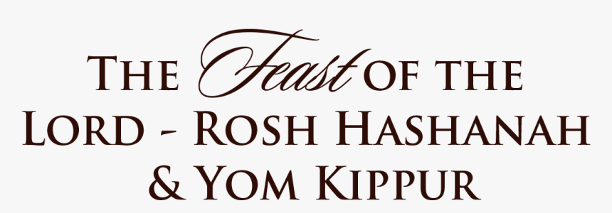 Amsterdam Forest Hotel, HD Png Download