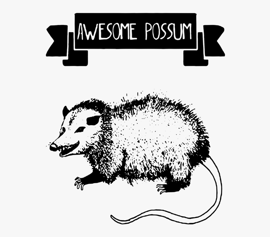 Funny Possum T Shirts, HD Png Download