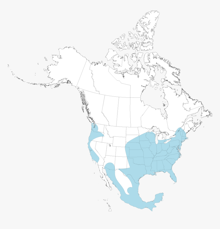 Opossum Map - North America Map Png, Transparent Png