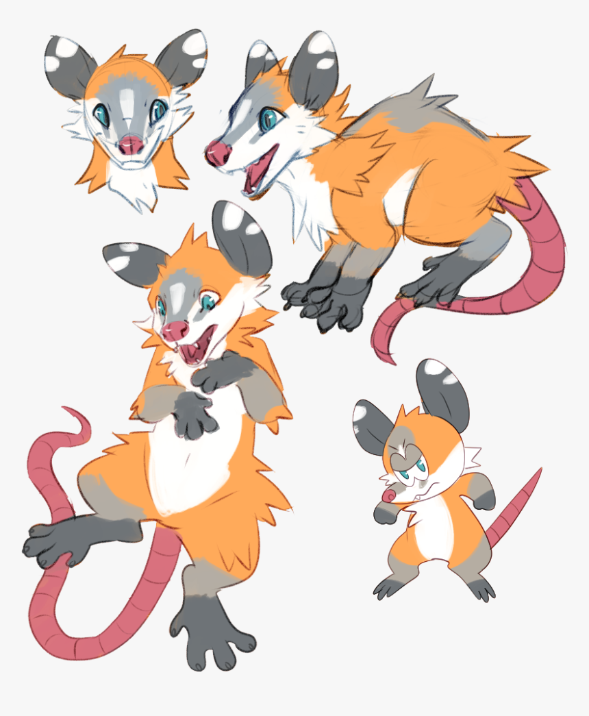 [o] My Opossum - Cartoon, HD Png Download
