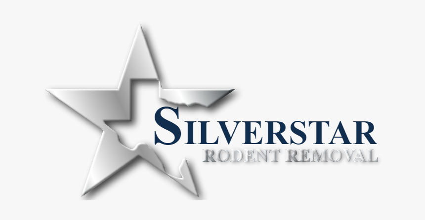 Doel, HD Png Download