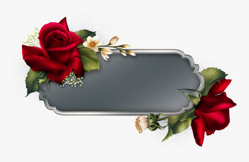 Transparent Puzzle Transparent Png - Garden Roses, Png Download
