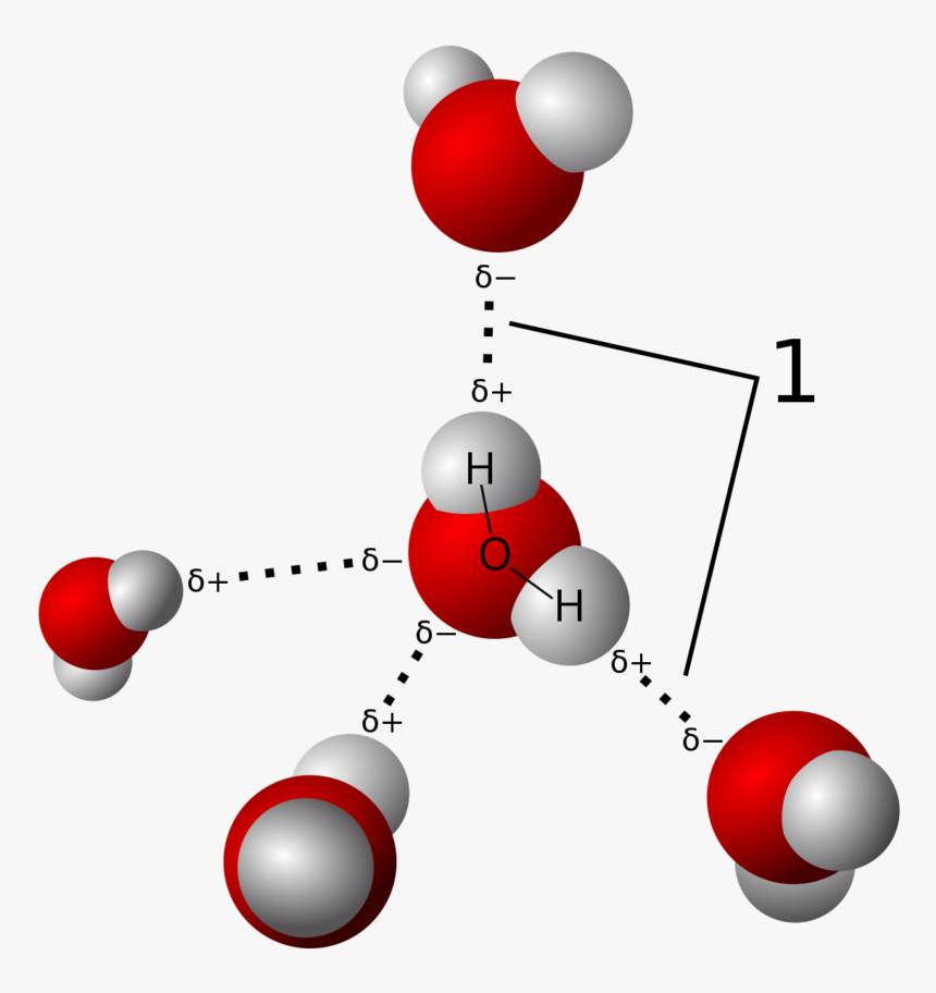 Image - Hydrogen Bonding, HD Png Download
