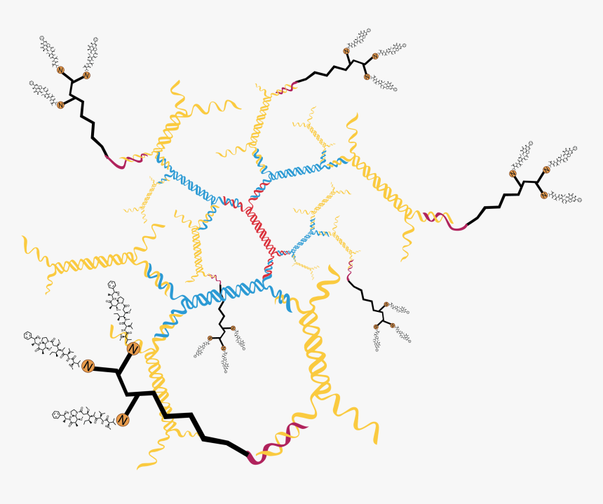 Oligo With 3 Drug Molecules 18 Drug Molecules On 3dna - Map, HD Png Download