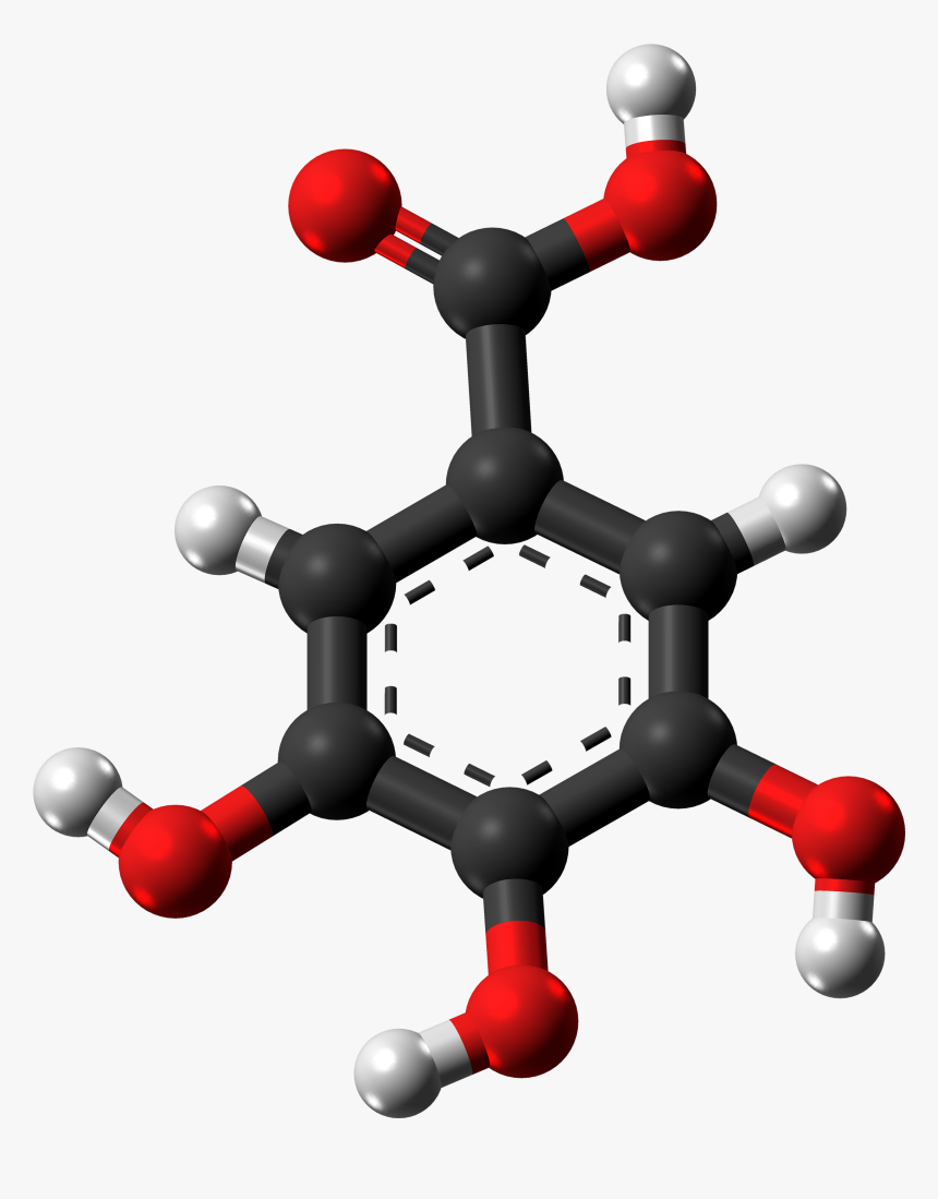 Gallic Acid Molecule Ball From Xtal - Toluène Définition, HD Png Download