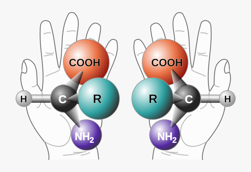 Chirality, HD Png Download