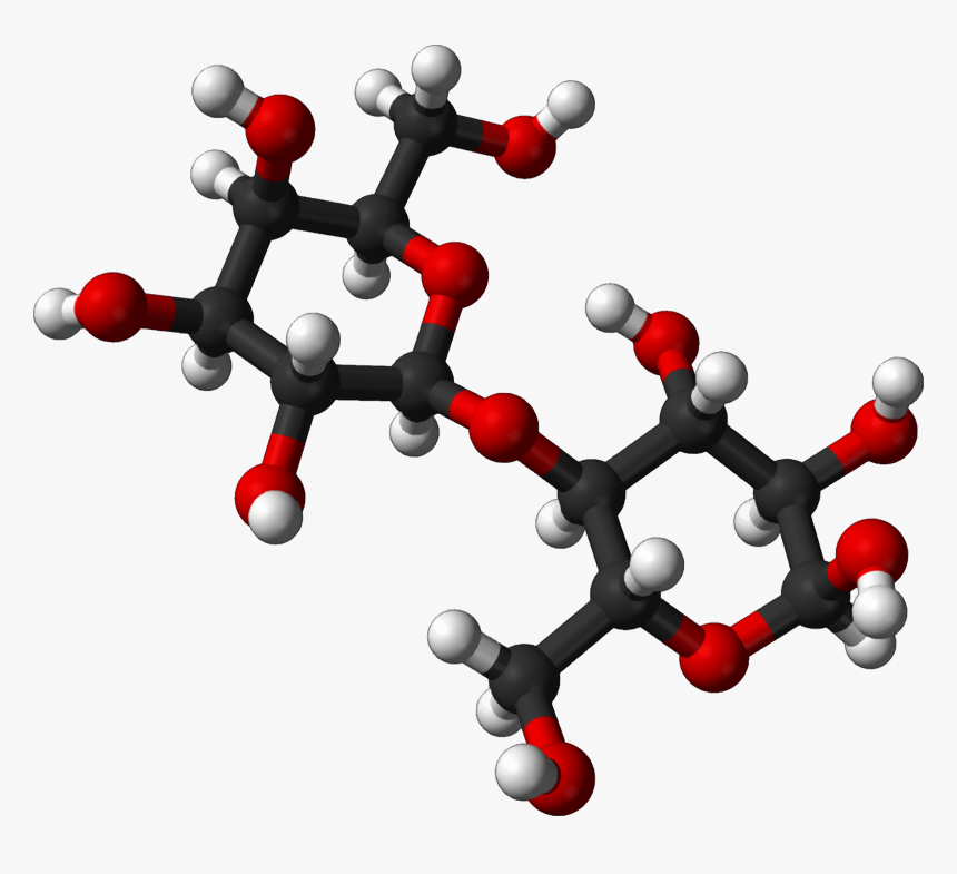 Clipart Science Molecule - Lactose Molecule, HD Png Download