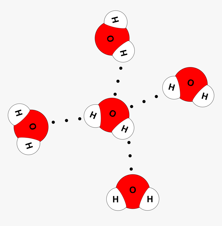 Water Molecule 4 Hydrogen Bonds, HD Png Download